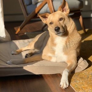 Meet your Posher, Brad